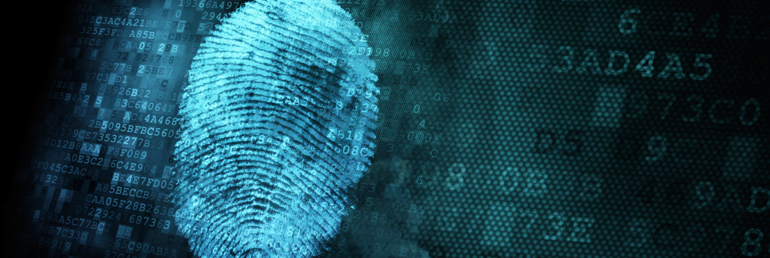 Secure voter authentication Secure voter authentication