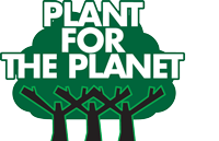 Online board elections at Plant for the Planet